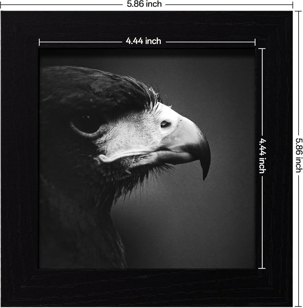 eletecpro Picture Frames Set of 9, 5x5 in, Acrylic Cover, Black