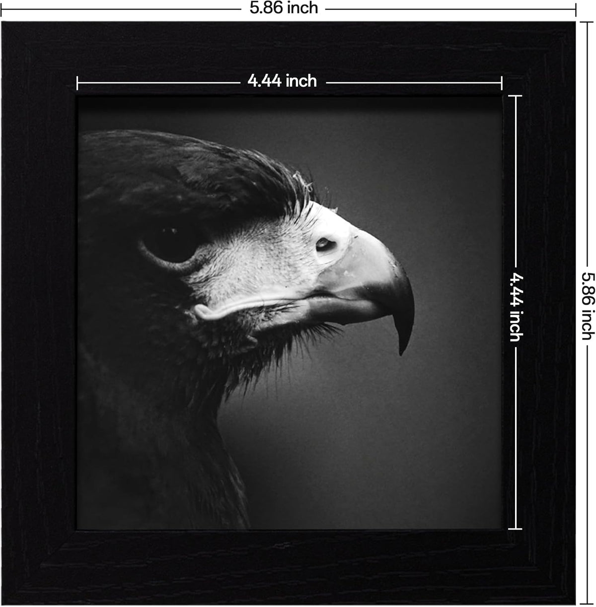 eletecpro Picture Frames Set of 9, 5x5 in, Acrylic Cover, Black