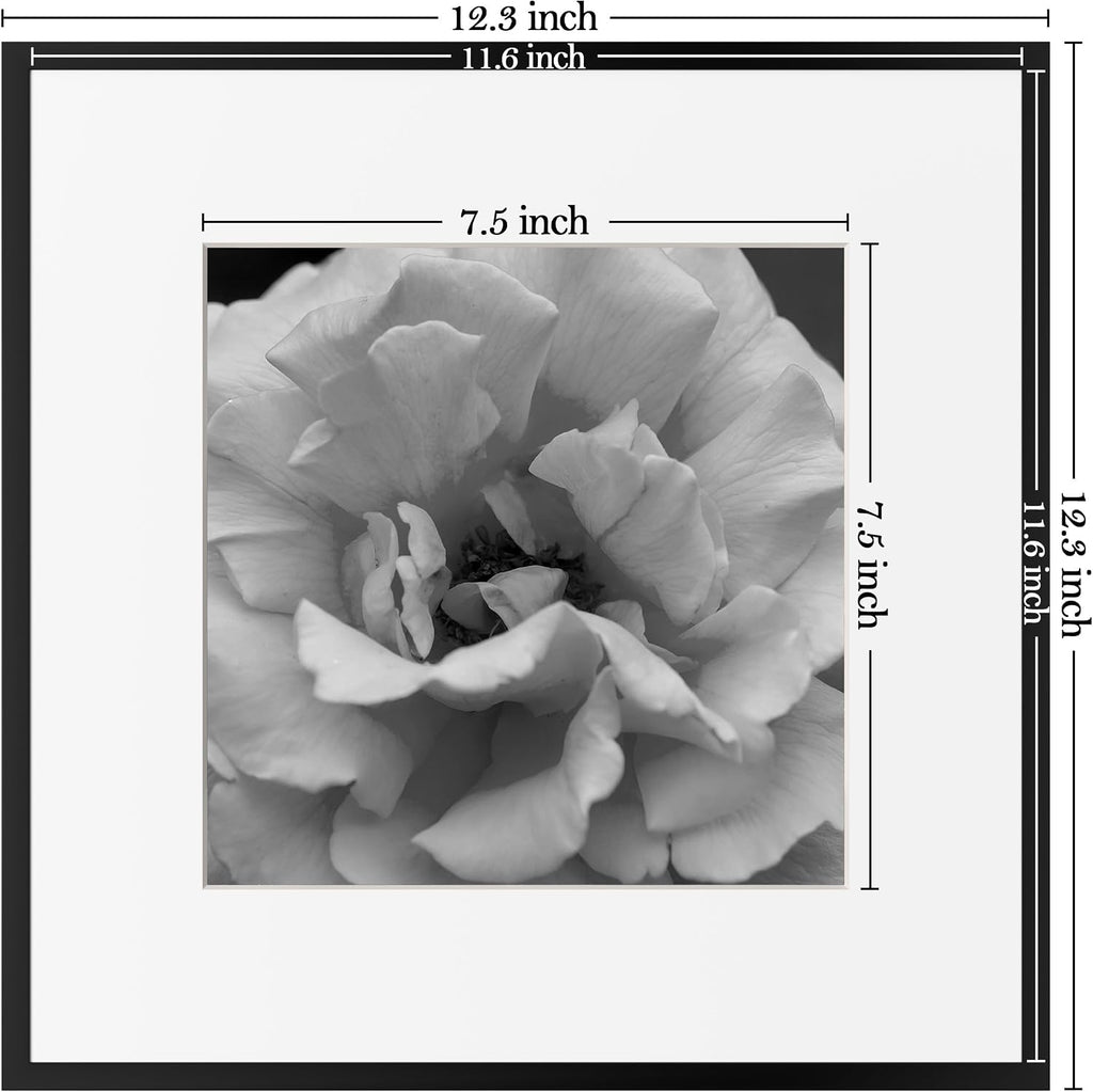 eletecpro Aluminum Gallery Wall Frame Set of 6 with Glass Cover, Black