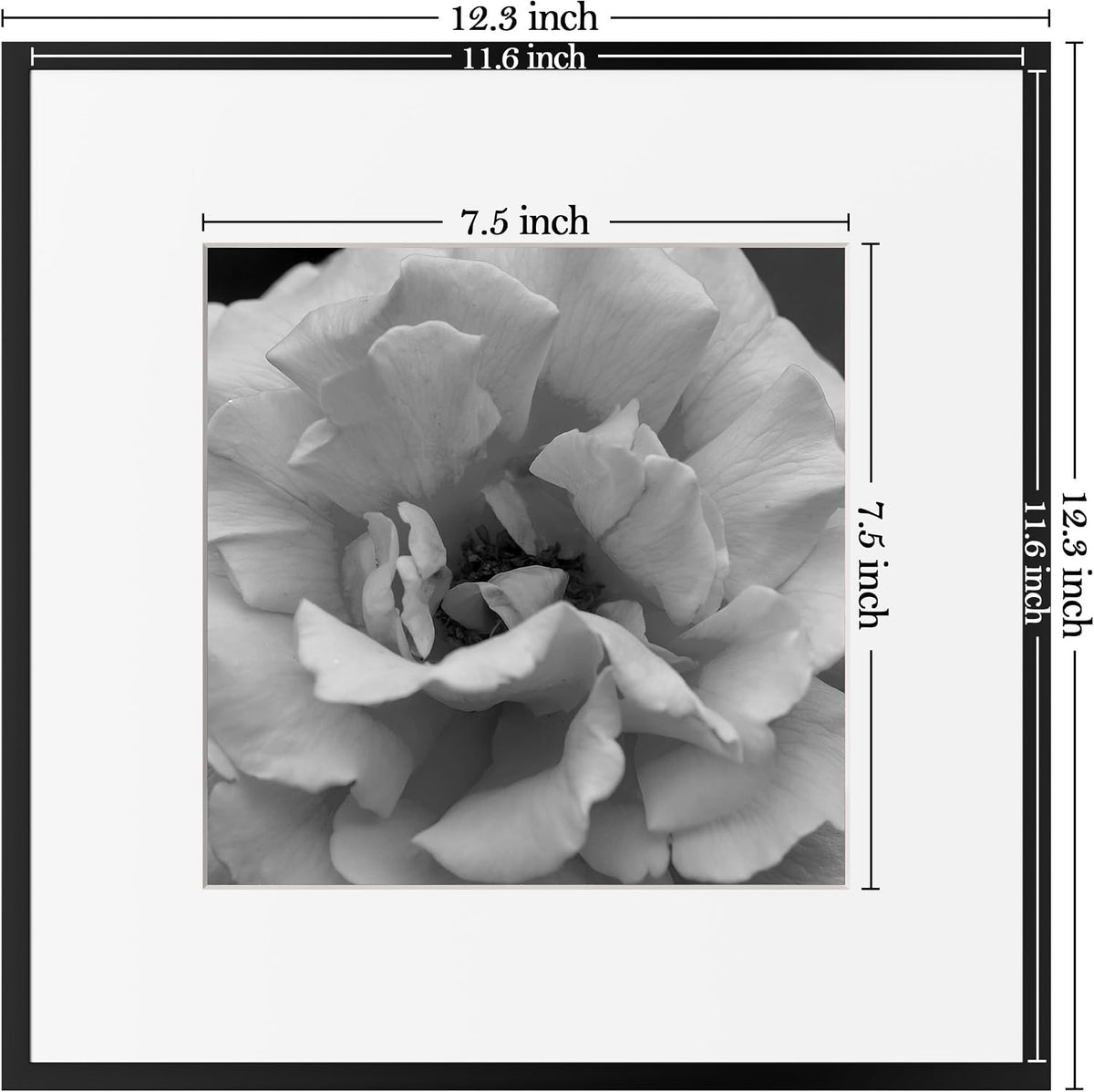 eletecpro Aluminum Gallery Wall Frame Set of 6 with Glass Cover, Black