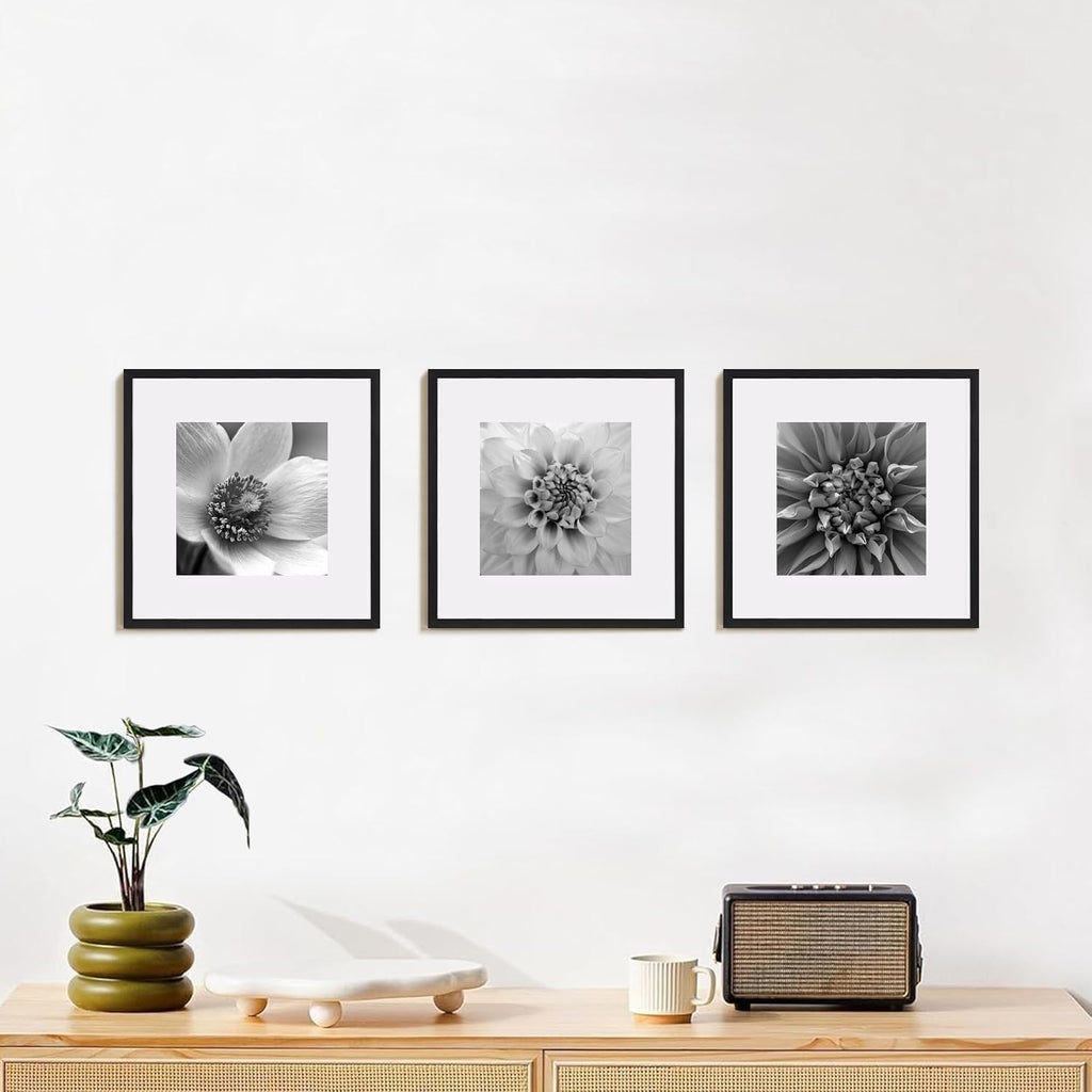 eletecpro 12x12 Picture Frame Set of 3, Display 8x8 with Mat, Black