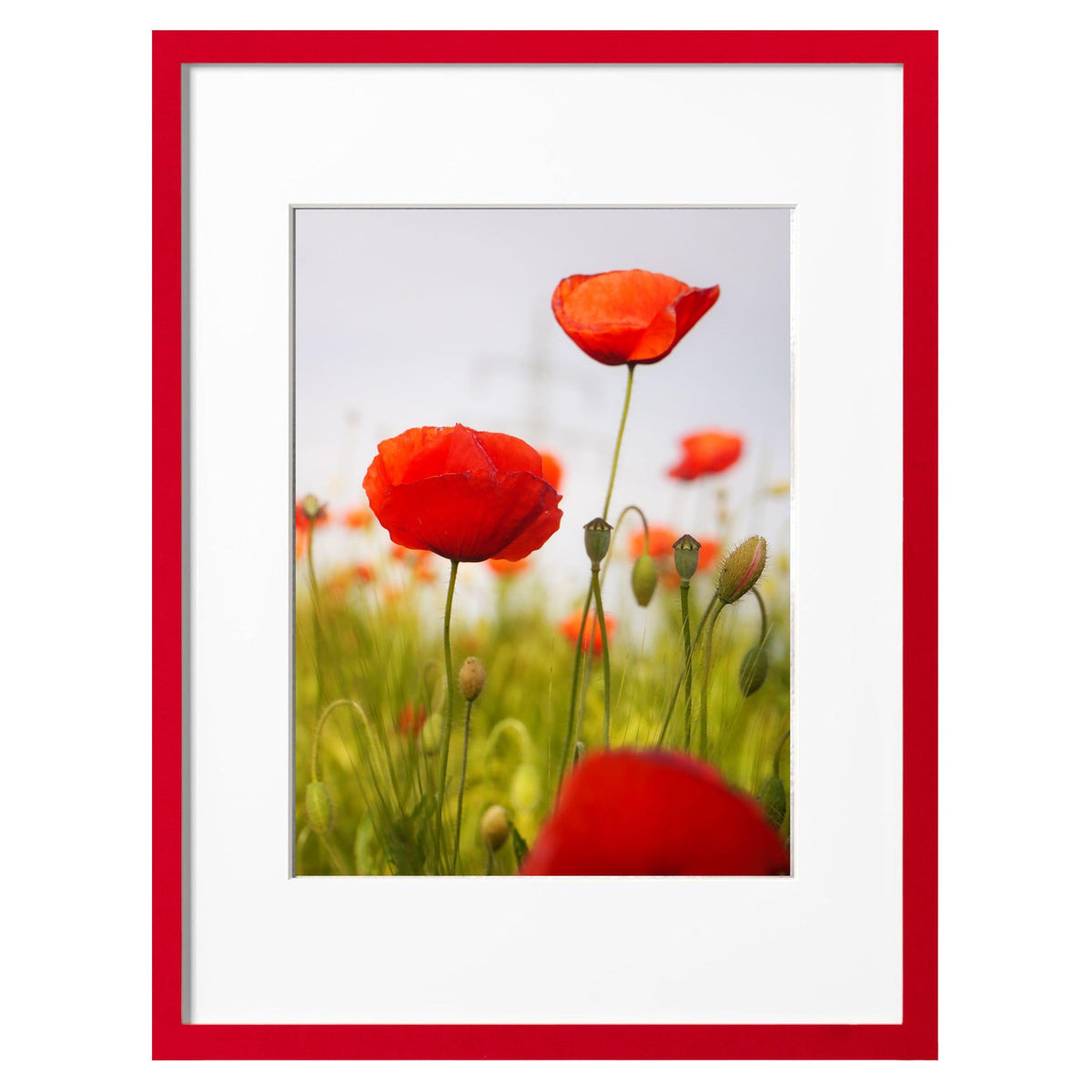 eletecpro 5x7 Picture Frame with 4x6 Mat, Black, 1-Pack
