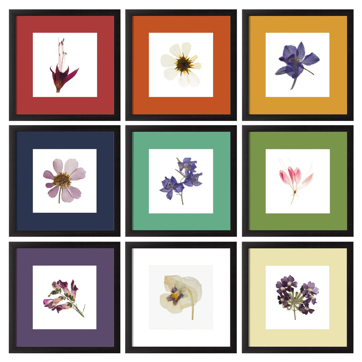 eletecpro Picture Frames Set of 9, 5x5 in, Acrylic Cover, Black