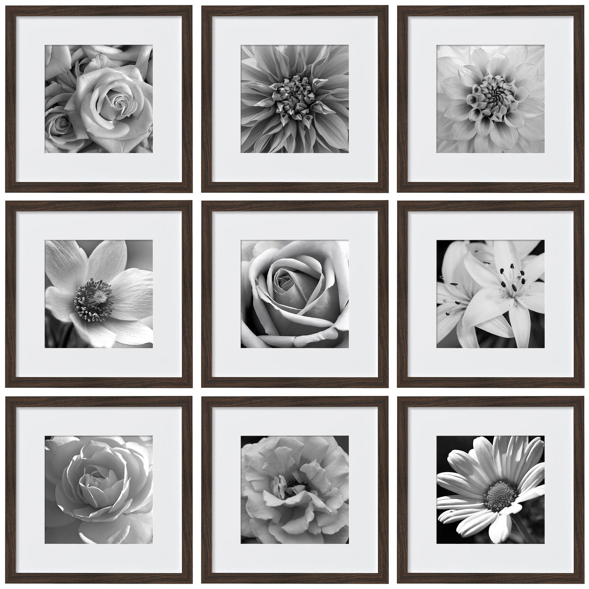 eletecpro Picture Frames Set of 9, 5x5 in, Acrylic Cover, Black