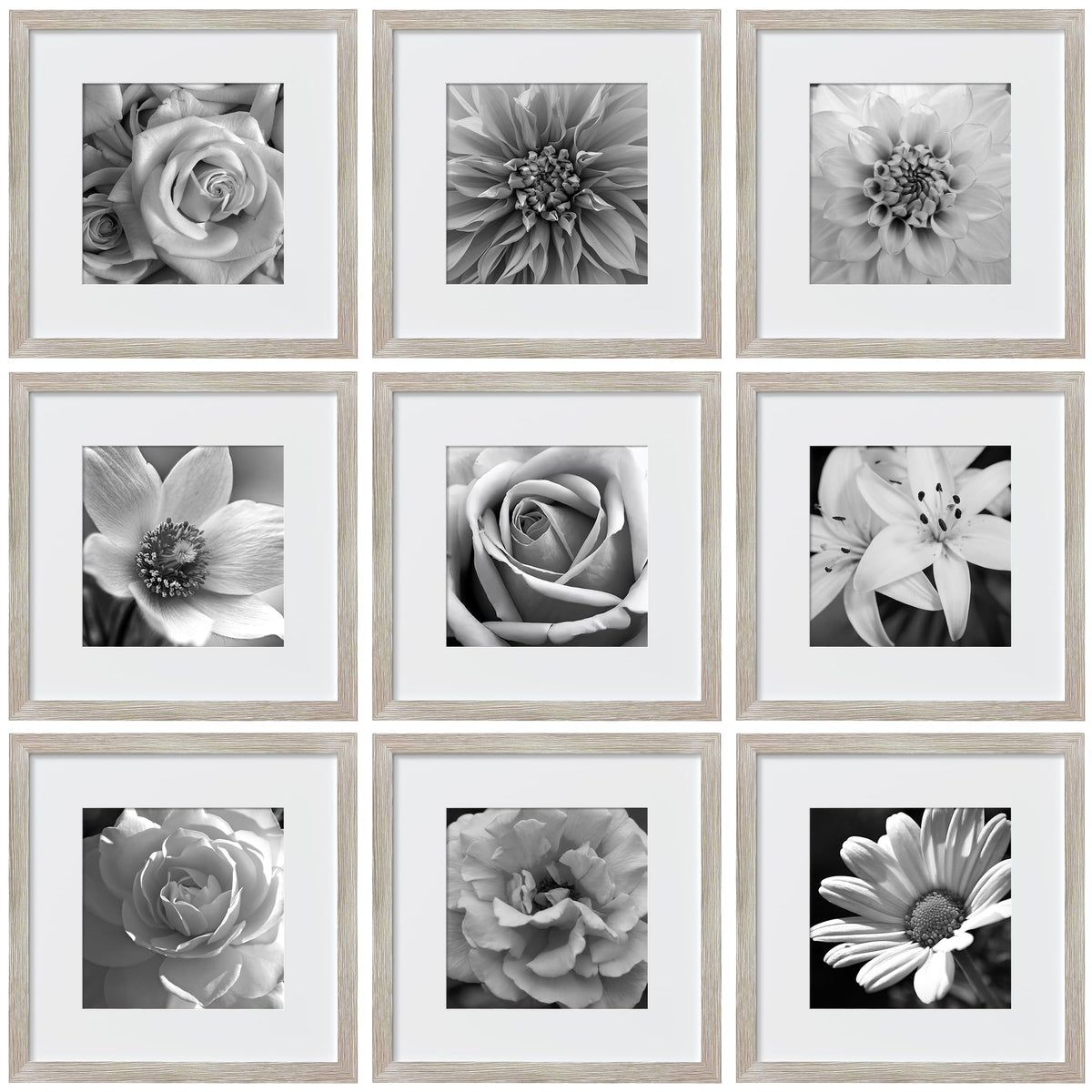 eletecpro Picture Frames Set of 9, 5x5 in, Acrylic Cover, Black