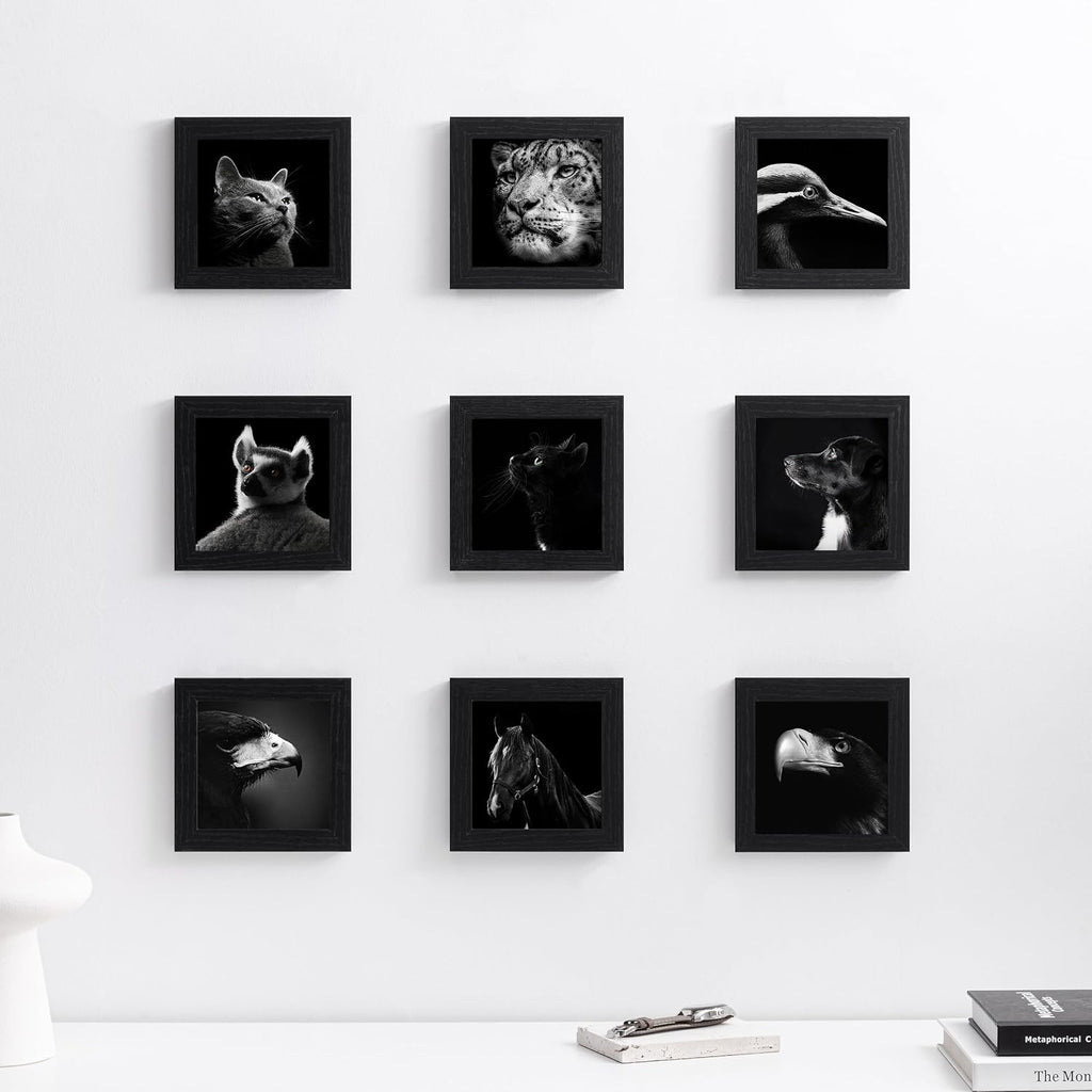 eletecpro Picture Frames Set of 9, 5x5 in, Acrylic Cover, Black