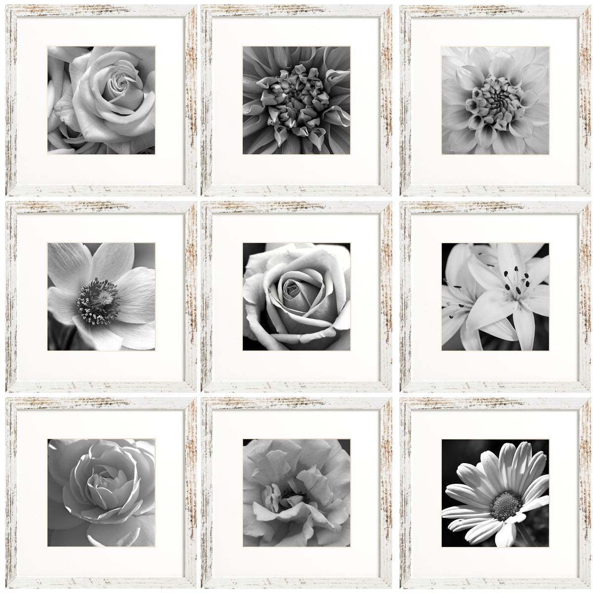 eletecpro Picture Frames Set of 9, 5x5 in, Acrylic Cover, Black